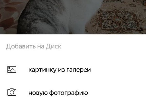 Кракен адрес тор