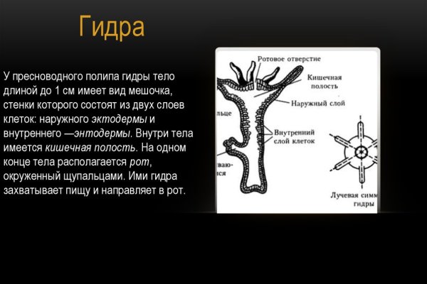 Кракен шоп зеркало